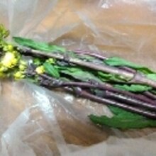 紫色の菜の花のお浸し レシピ 作り方 By あけぼのマジック 楽天レシピ 紫色の菜の花のお浸し レシピ 作り方 By あけぼのマジック 楽天レシピ